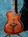 Taylor T5 C2 Body