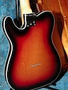 Telecaster Back